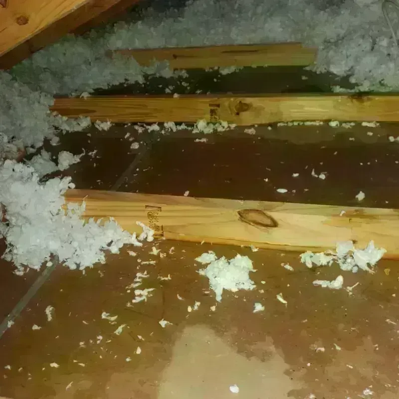 Attic Water Damage in Kenbridge, VA